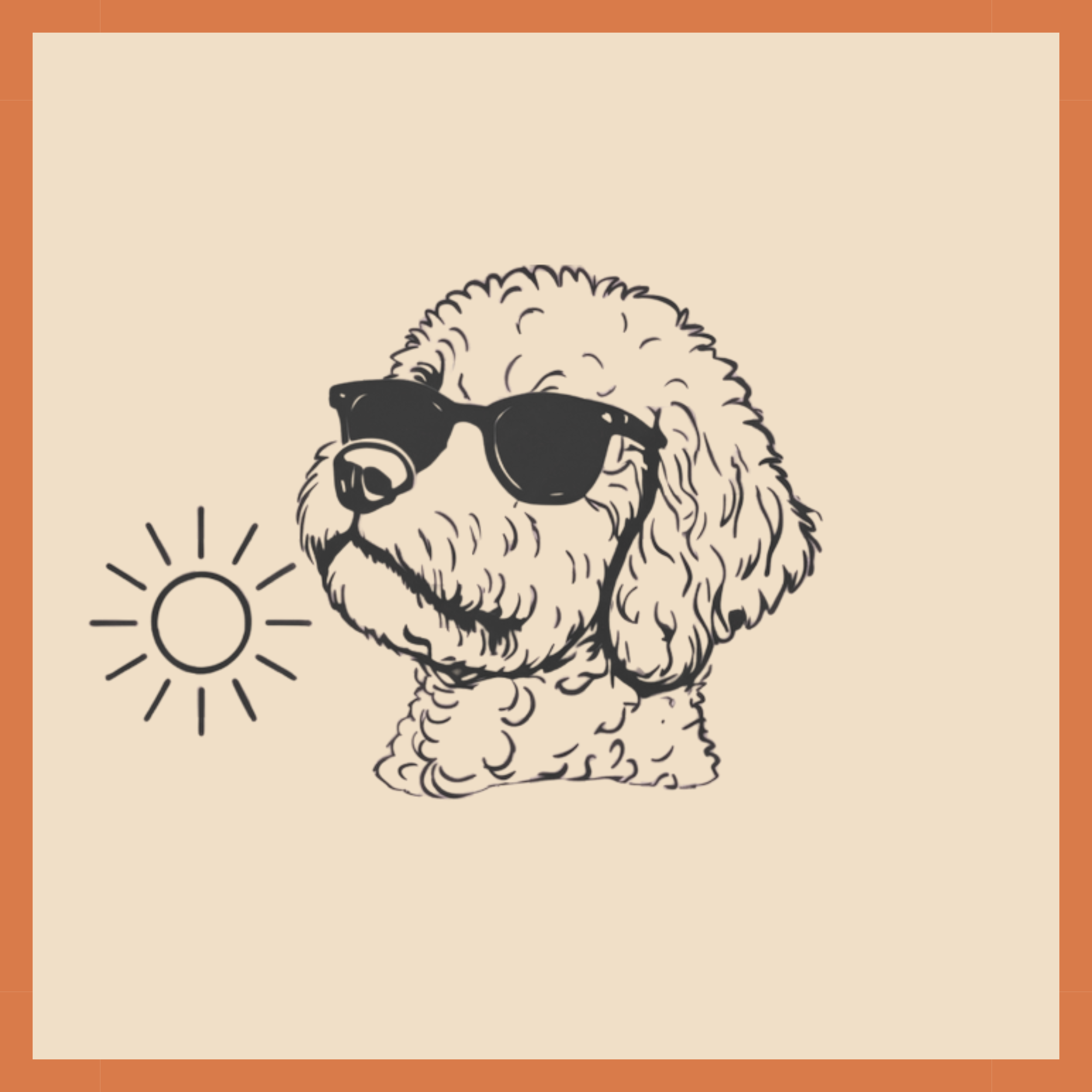 Summer Essentials