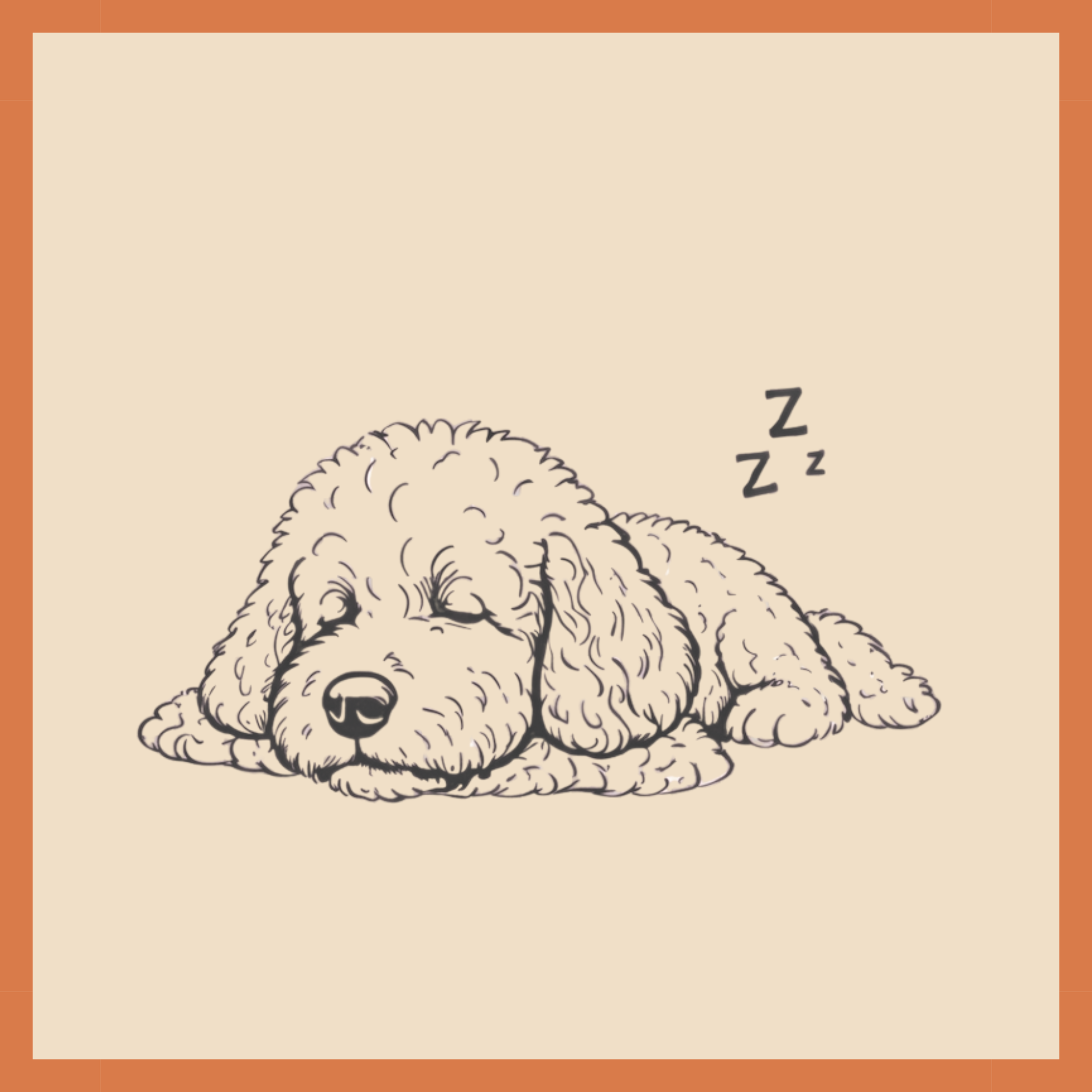Snuggle & Rest